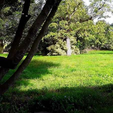 Domaine De La Tranquillite V Βίλα Noyal-Muzillac Εξωτερικό φωτογραφία