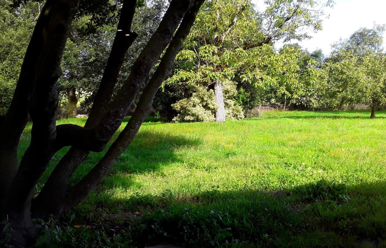 Domaine De La Tranquillite V Βίλα Noyal-Muzillac Εξωτερικό φωτογραφία